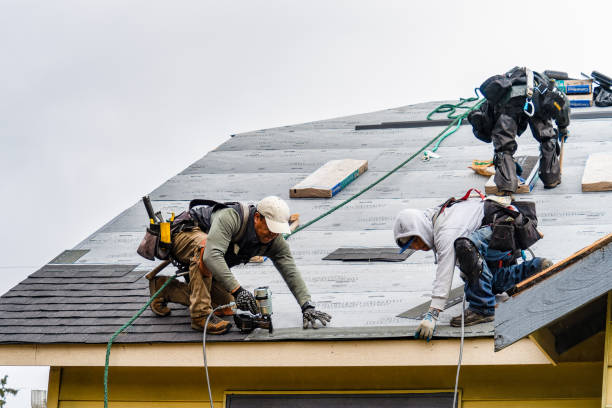 Professional Roof Inspection technician working in Breckenridge, MI